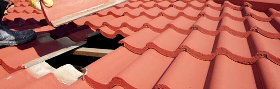 compare Bilton Haggs roof repair quotes