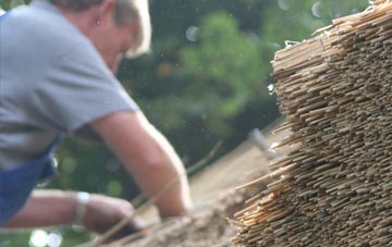 professional Bilton Haggs thatchers