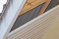 rated Bilton Haggs soffit repair companies